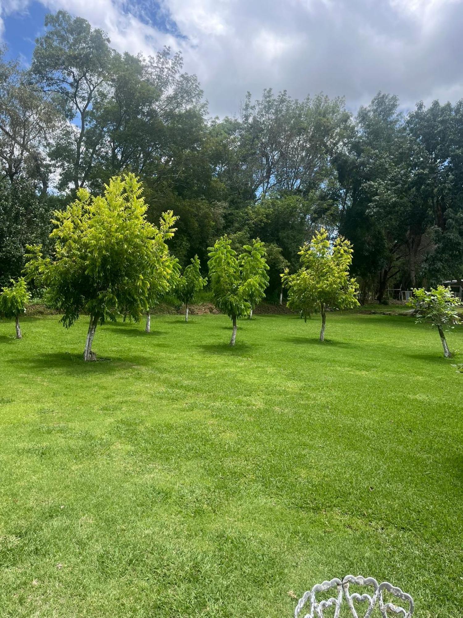 Cabanas Cumbres De Aguacatitla Huasca de Ocampo Exterior foto