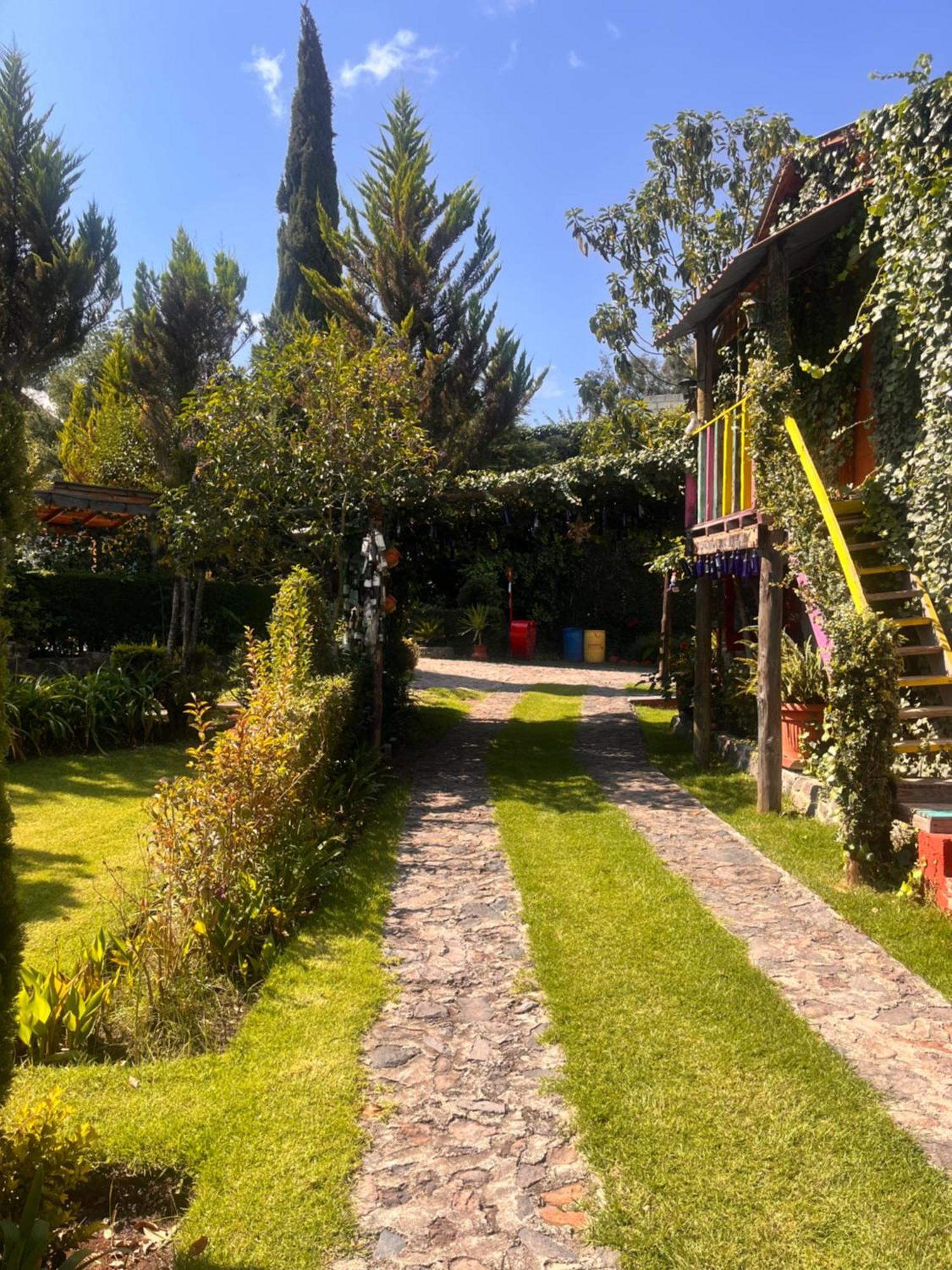 Cabanas Cumbres De Aguacatitla Huasca de Ocampo Exterior foto