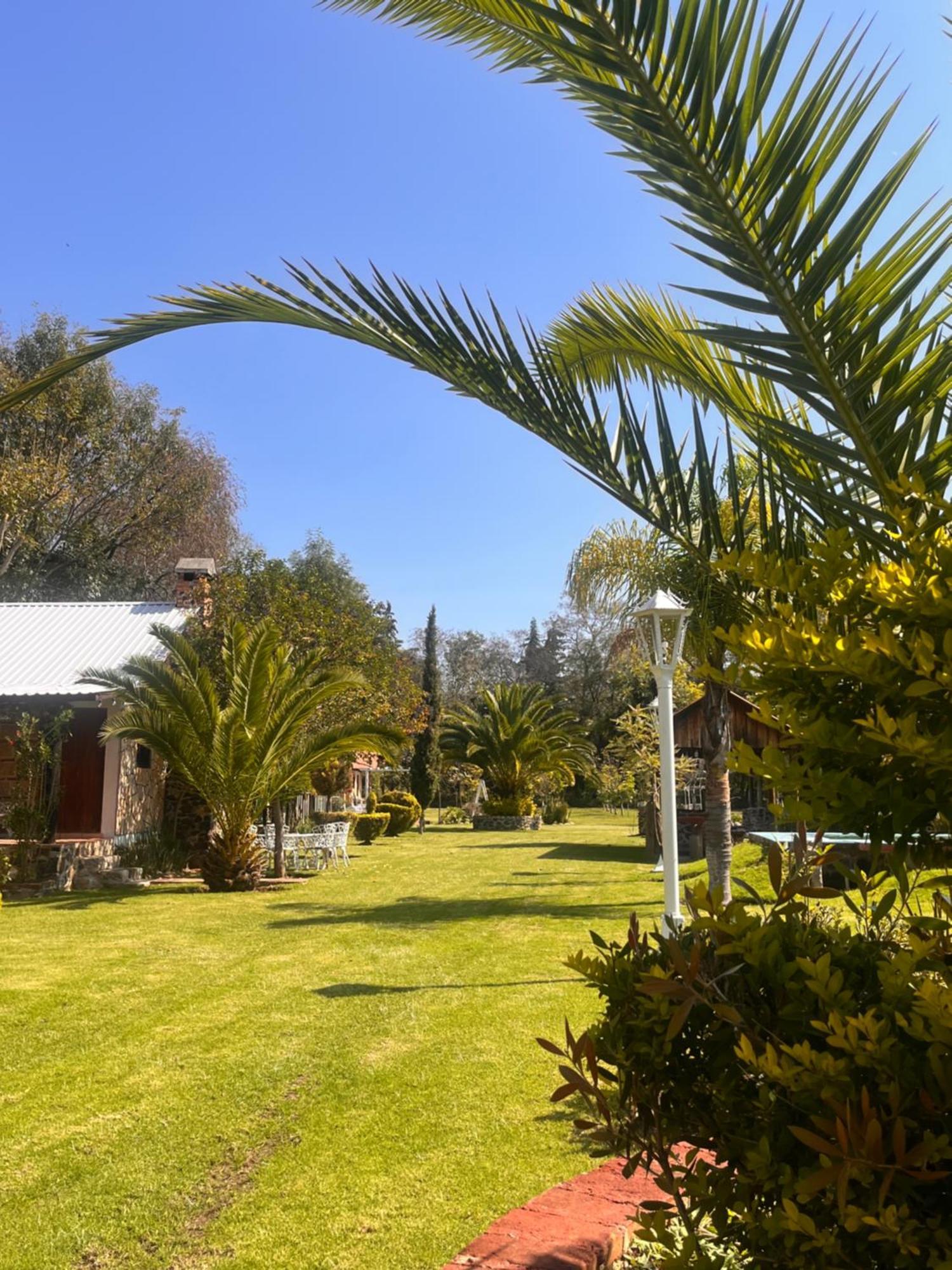 Cabanas Cumbres De Aguacatitla Huasca de Ocampo Exterior foto
