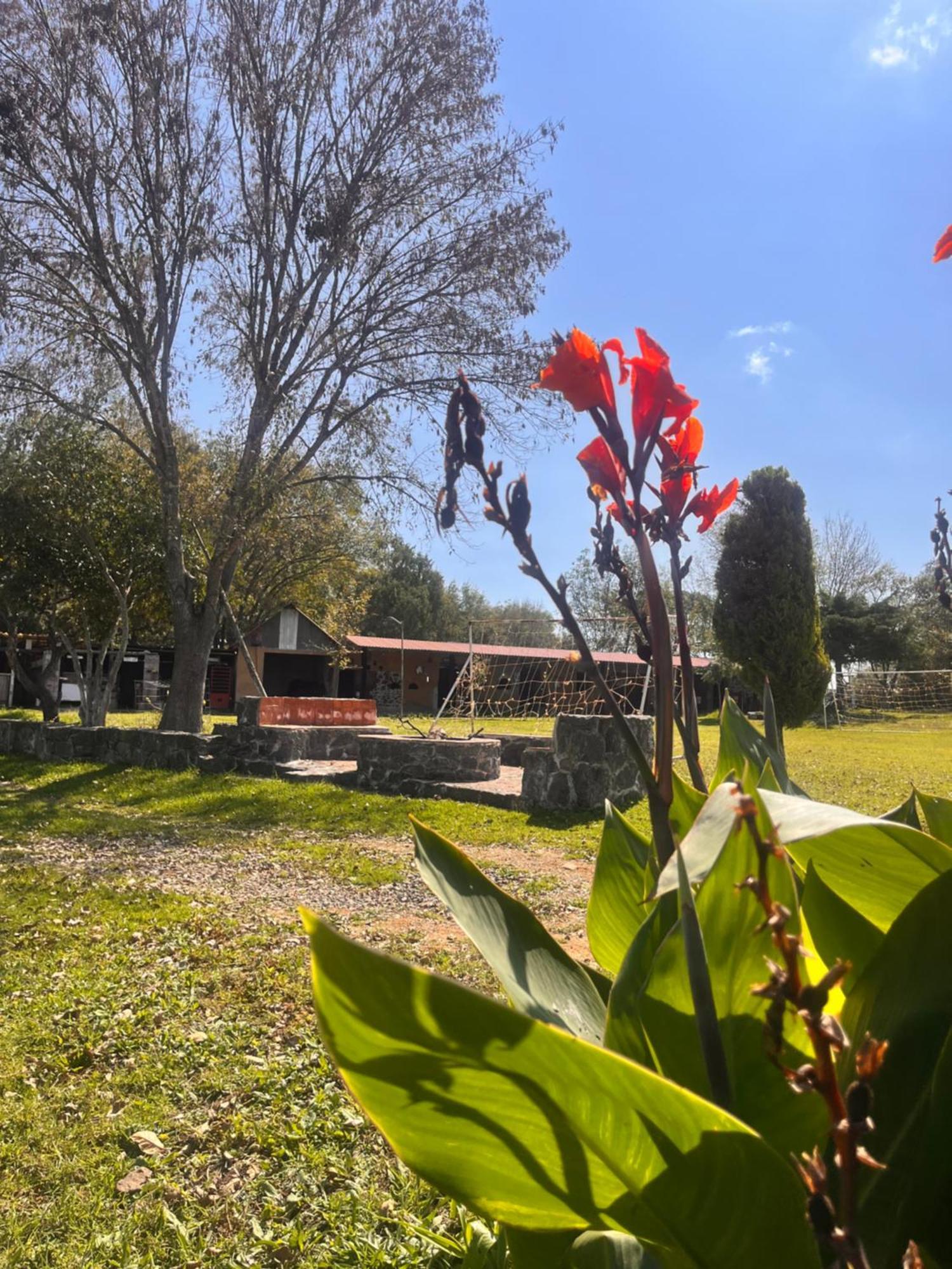 Cabanas Cumbres De Aguacatitla Huasca de Ocampo Exterior foto