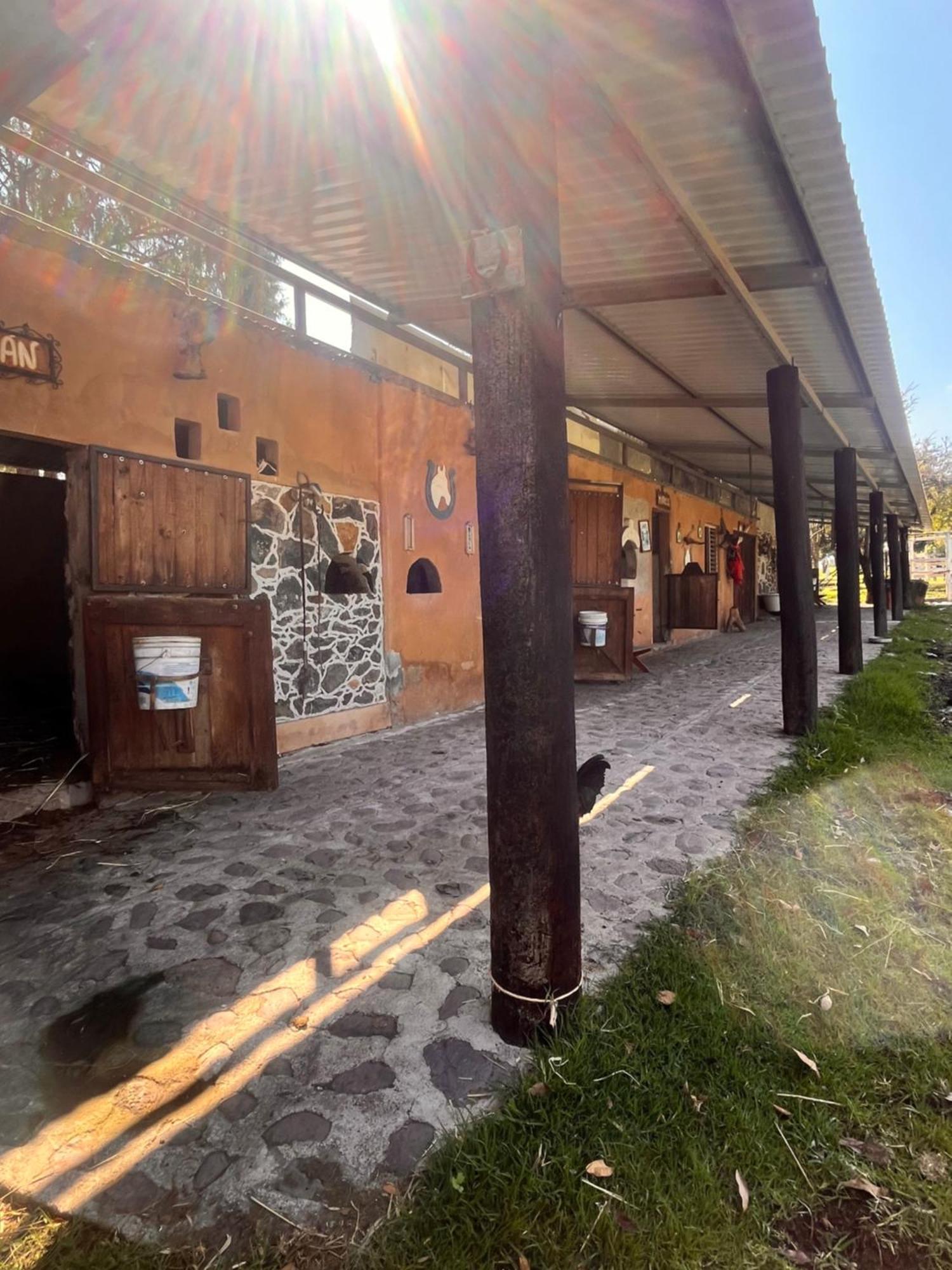 Cabanas Cumbres De Aguacatitla Huasca de Ocampo Exterior foto